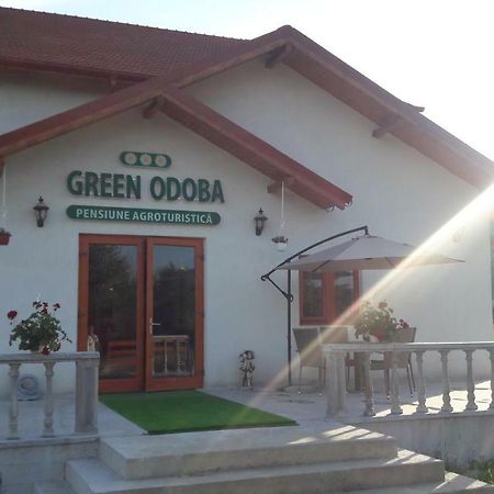 Pensiunea Agroturistica Green Odoba Satuc Ngoại thất bức ảnh