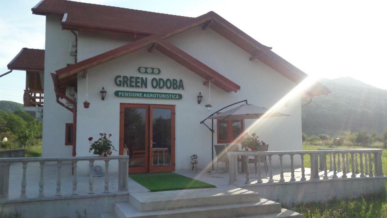 Pensiunea Agroturistica Green Odoba Satuc Ngoại thất bức ảnh