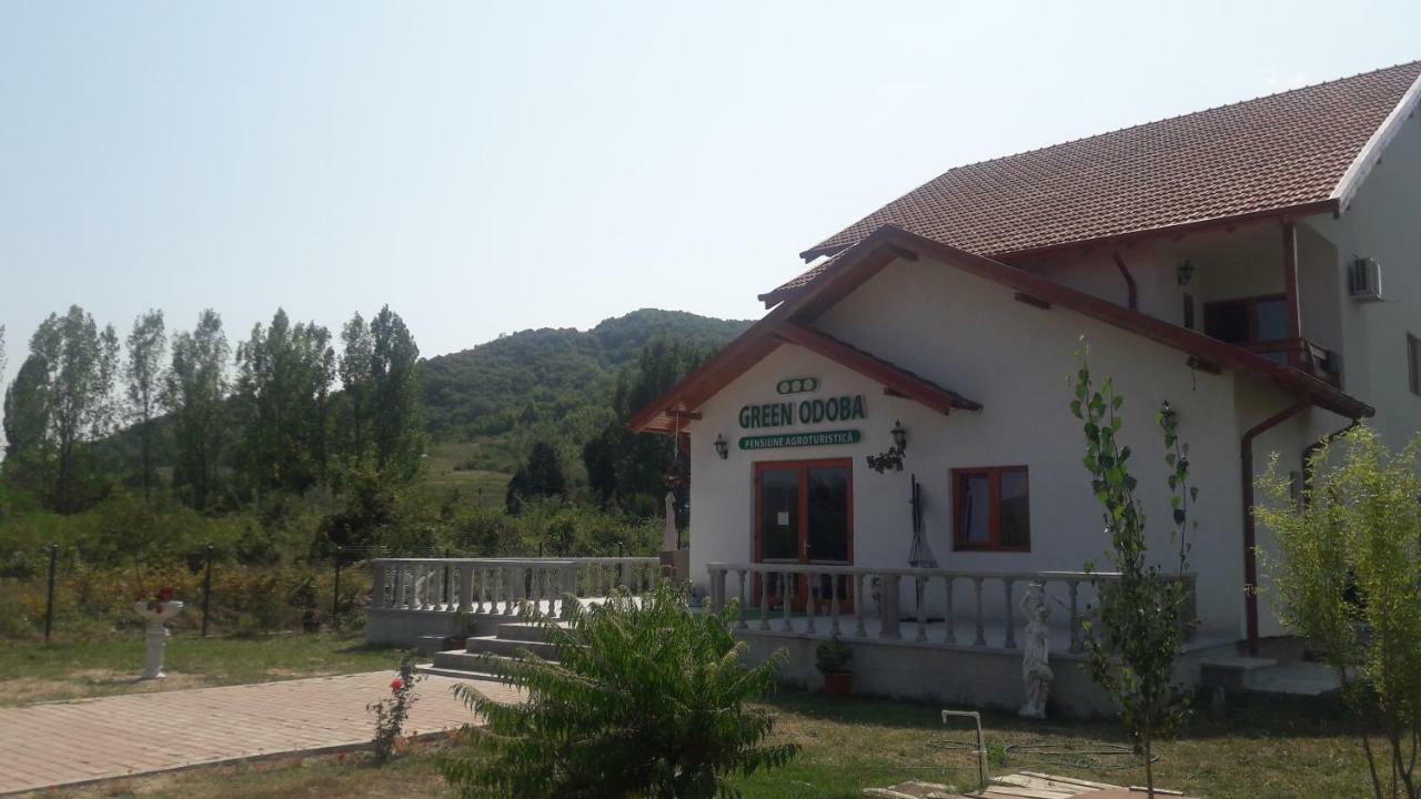 Pensiunea Agroturistica Green Odoba Satuc Ngoại thất bức ảnh