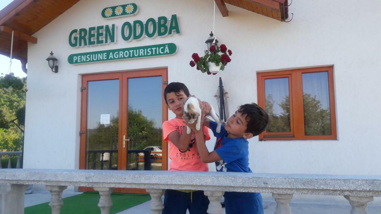 Pensiunea Agroturistica Green Odoba Satuc Ngoại thất bức ảnh